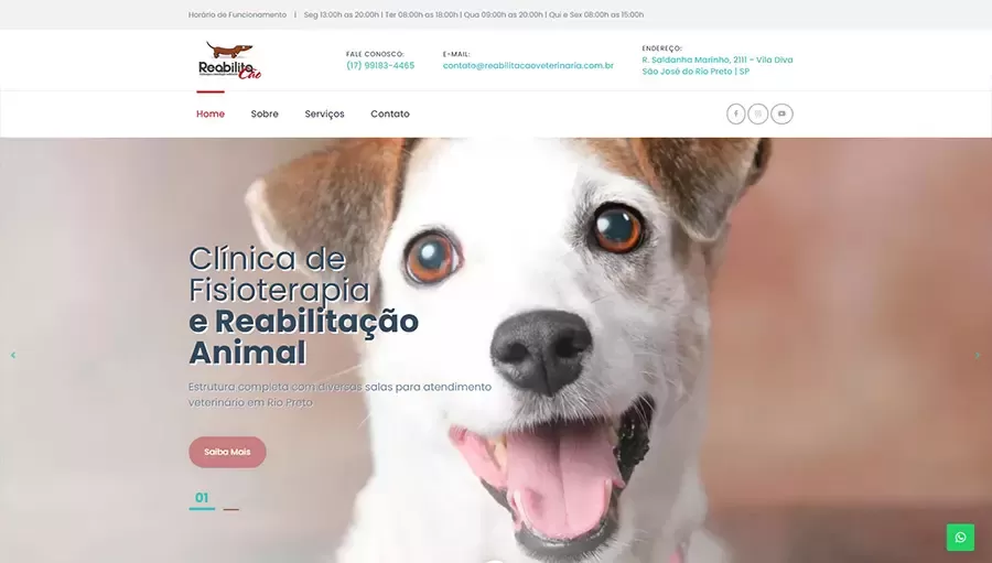 ReabilitaCão Veterinária